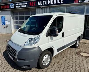 Fiat Ducato Gebrauchtwagen