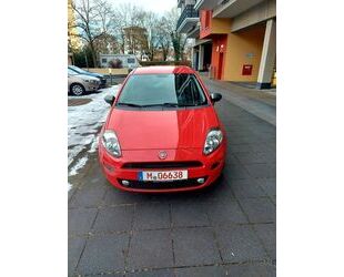Fiat Punto Gebrauchtwagen