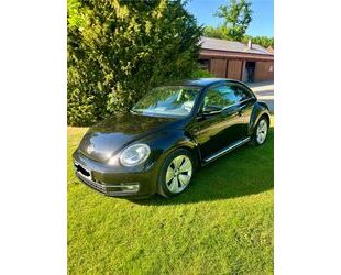VW Beetle Gebrauchtwagen