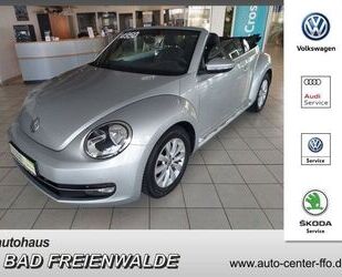 VW Beetle Gebrauchtwagen