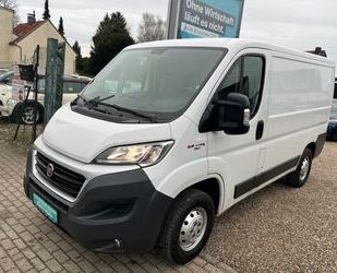 Fiat Ducato Gebrauchtwagen