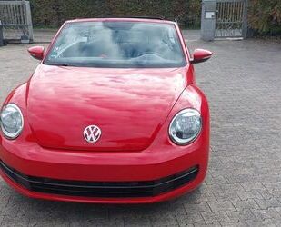 VW Beetle Gebrauchtwagen