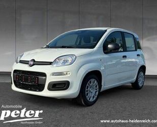 Fiat Panda Gebrauchtwagen
