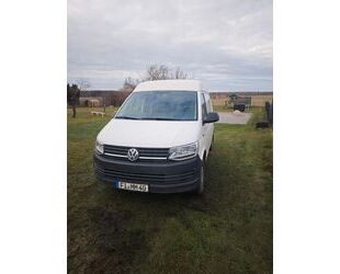 VW T6 Transporter Gebrauchtwagen