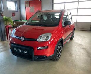Fiat Panda Gebrauchtwagen