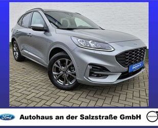 Ford Kuga Gebrauchtwagen