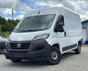 Fiat Ducato Gebrauchtwagen