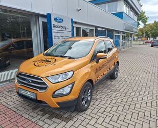 Ford EcoSport Gebrauchtwagen