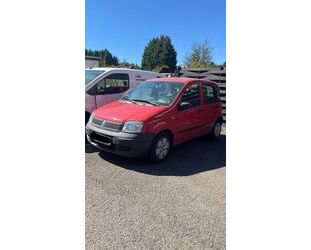 Fiat Panda Gebrauchtwagen