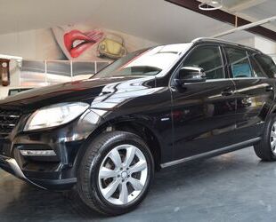 Mercedes-Benz ML 250 Gebrauchtwagen