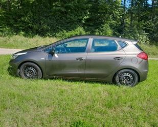 Kia ceed / Ceed Gebrauchtwagen