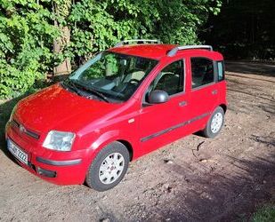 Fiat Panda Gebrauchtwagen