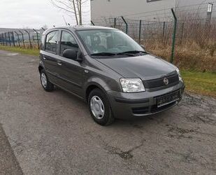 Fiat Panda Gebrauchtwagen