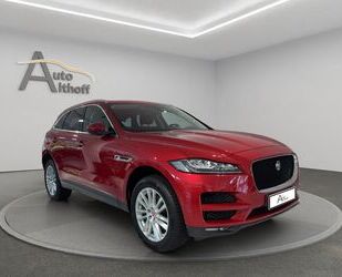 Jaguar F-Pace Gebrauchtwagen