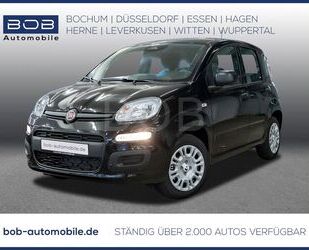 Fiat Panda Gebrauchtwagen