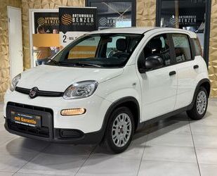 Fiat Panda Gebrauchtwagen
