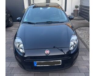 Fiat Punto Gebrauchtwagen