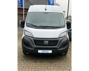 Fiat Ducato Gebrauchtwagen