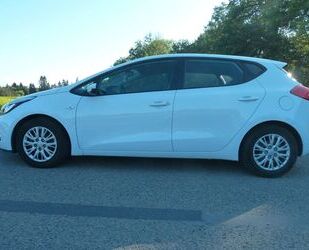 Kia ceed / Ceed Gebrauchtwagen