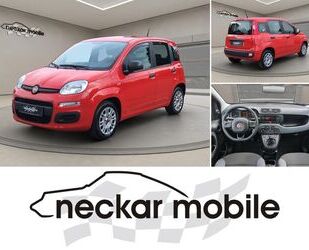 Fiat Panda Gebrauchtwagen