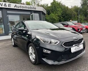 Kia ceed / Ceed Gebrauchtwagen