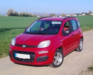 Fiat Panda Gebrauchtwagen