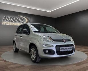 Fiat Panda Gebrauchtwagen