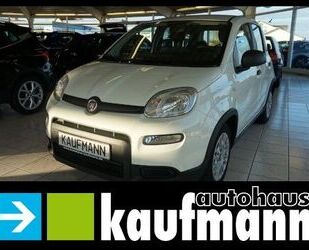 Fiat Panda Gebrauchtwagen