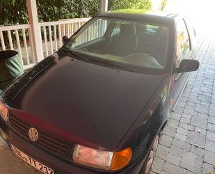 VW Polo Gebrauchtwagen