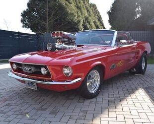 Ford Mustang Gebrauchtwagen