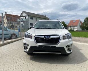 Subaru Forester Gebrauchtwagen