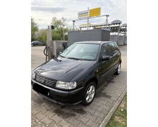 VW Polo Gebrauchtwagen