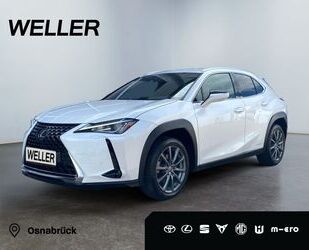 Lexus UX Gebrauchtwagen