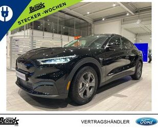Ford Mustang Mach-E Gebrauchtwagen