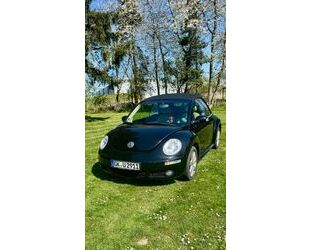 VW Beetle Gebrauchtwagen