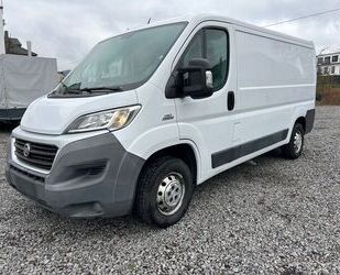 Fiat Ducato Gebrauchtwagen