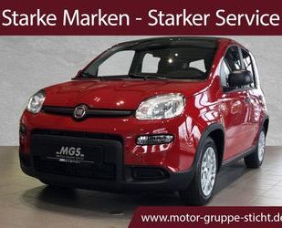 Fiat Panda Gebrauchtwagen