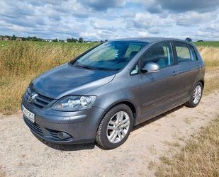 VW Golf Plus Gebrauchtwagen