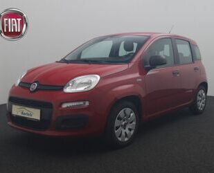 Fiat Panda Gebrauchtwagen