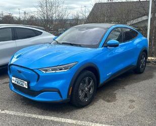 Ford Mustang Mach-E Gebrauchtwagen