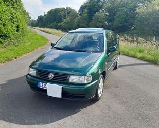 VW Polo Gebrauchtwagen