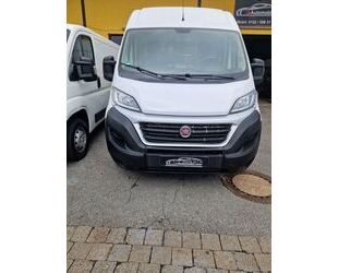 Fiat Ducato Gebrauchtwagen