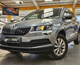 Skoda Karoq Gebrauchtwagen