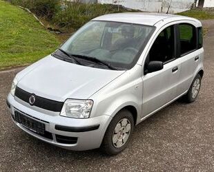 Fiat Panda Gebrauchtwagen