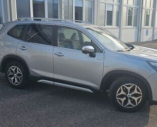 Subaru Forester Gebrauchtwagen