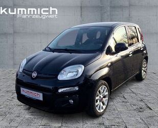 Fiat Panda Gebrauchtwagen