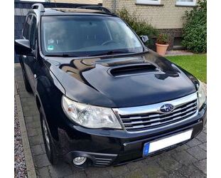 BMW Forester 