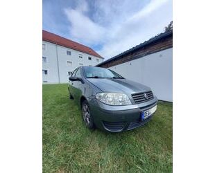 Fiat Punto Gebrauchtwagen
