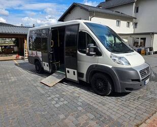 Fiat Ducato Gebrauchtwagen