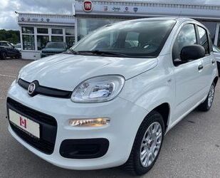 Fiat Panda Gebrauchtwagen